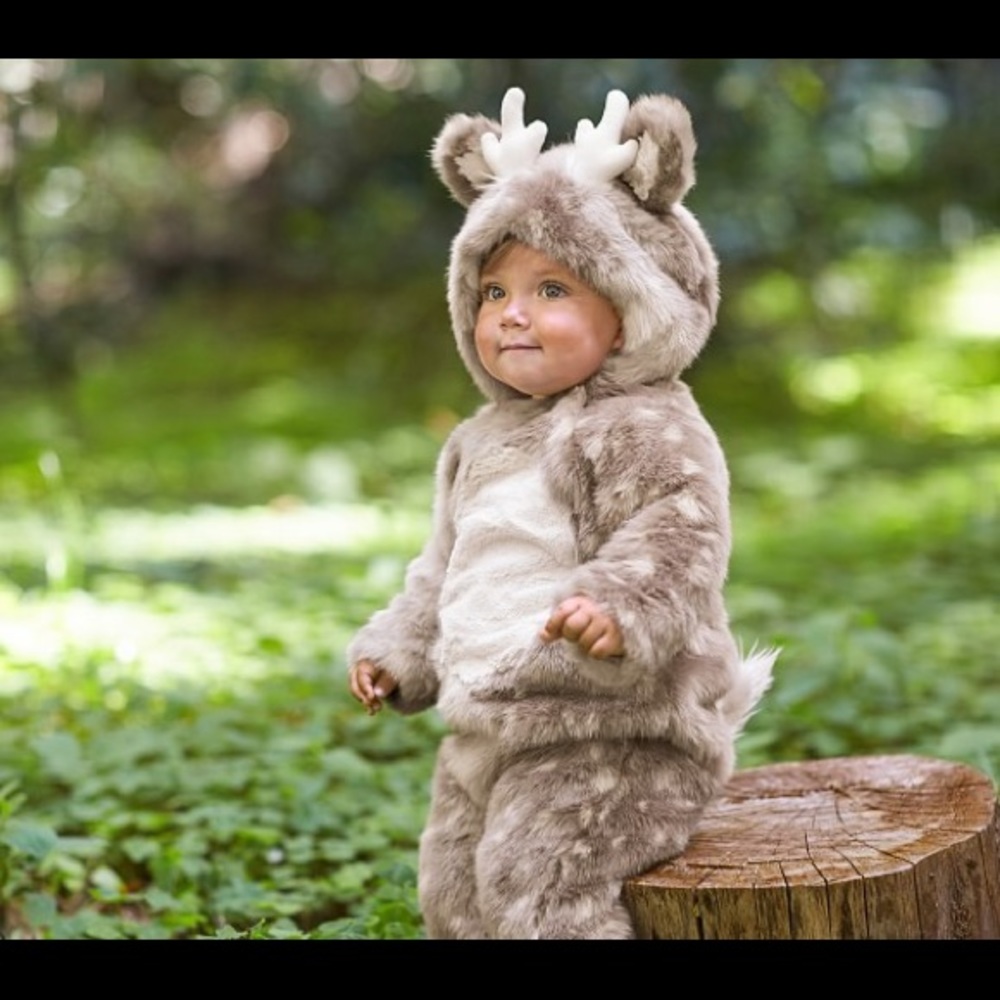 Pottery Barn Kids Baby Deer Woodland Halloween Costume Size 12-24 months